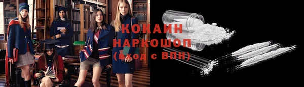 шишки Медногорск