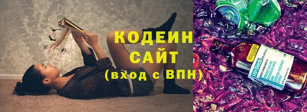шишки Медногорск