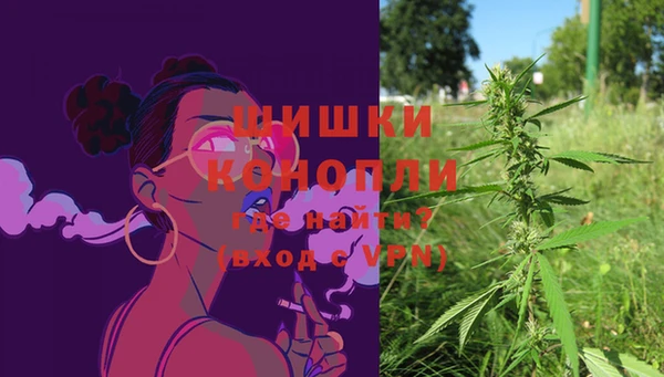 шишки Медногорск