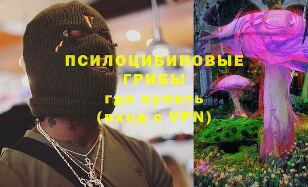 ешки Медвежьегорск