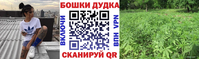 Купить закладки  Ногинск  Канабис AK-47 